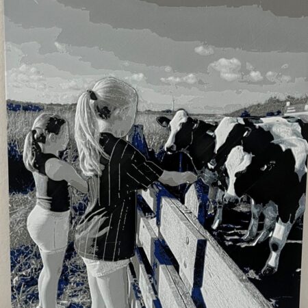 Chroma Canva foto (uniek ontwerp van uw eigen foto)