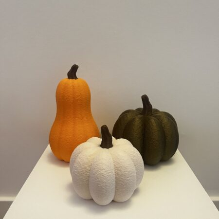 Leuke pompoenset